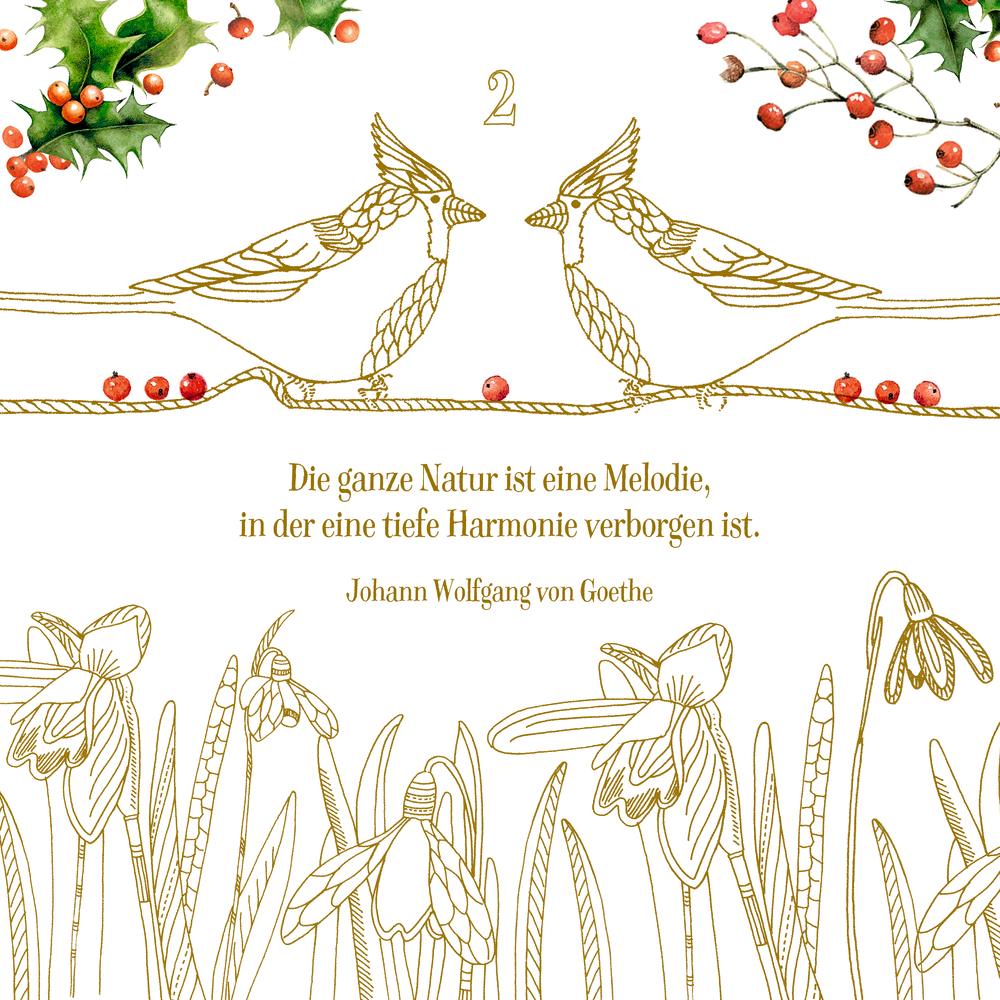 Zauber der Natur, Kreativ-Adventskalender (Bastin)