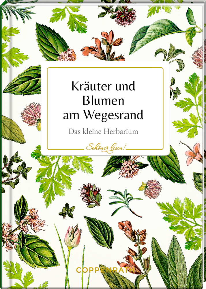 Schöner lesen! No.49: Kräuter & Blumen am Wegesrand (AUGUSTINA)