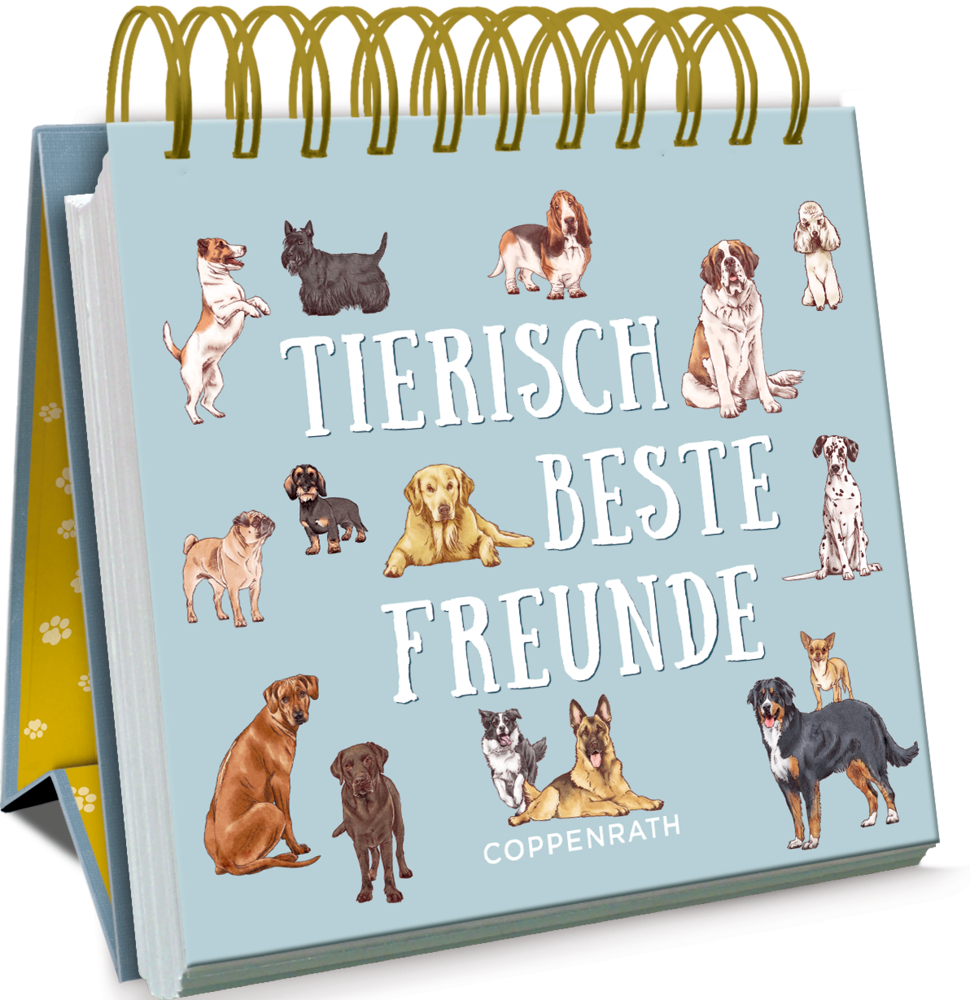 Kleines Spiralaufstellbuch: Tierisch beste Freunde (cats & dogs)