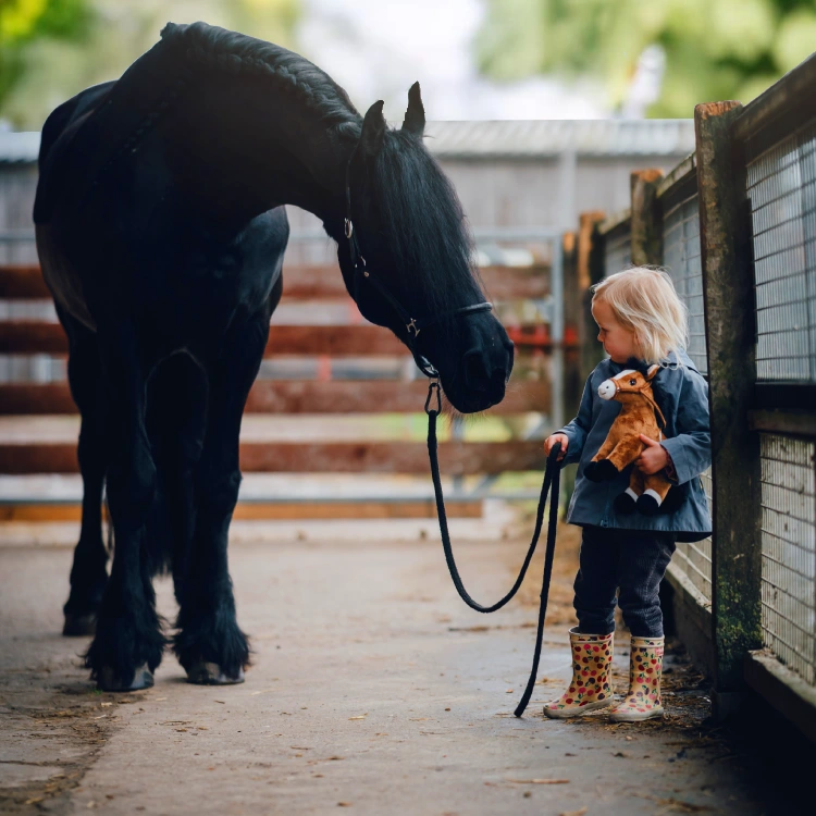 kleines Mädchen mit Plüschpferd hält im Reitstall ein großes schwarzes Pferd am Zügel.