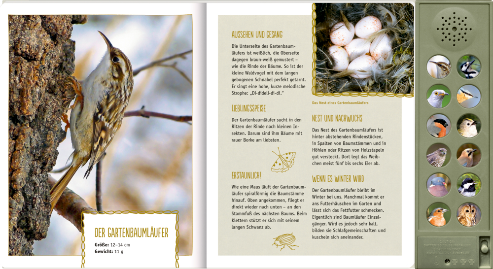 Vögel in unseren Wäldern - Nature Zoom (Soundbuch)