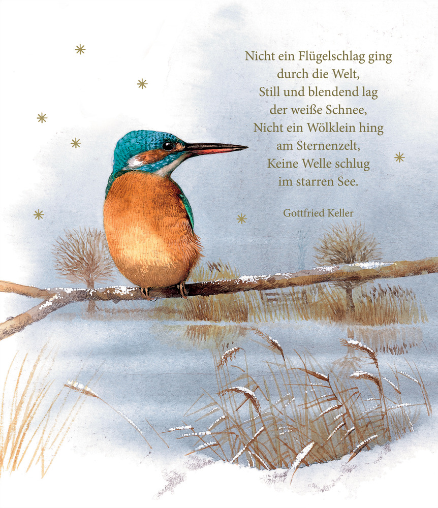 24 Momente mit der Natur, Tisch-Adventskalender (Bastin)