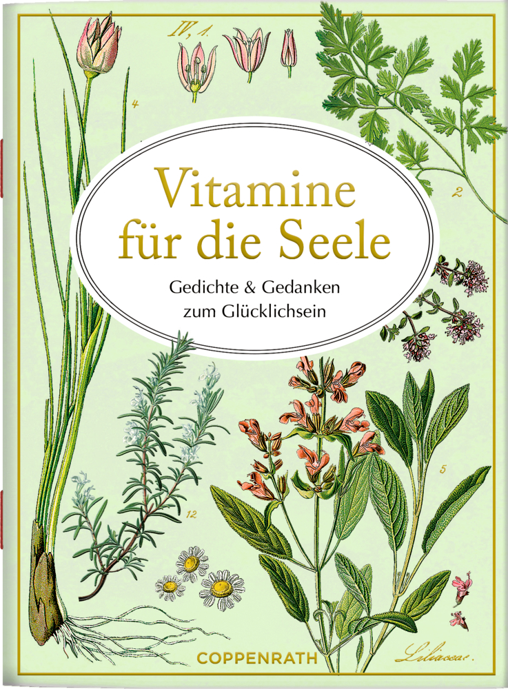 Schöne Grüße: Vitamine für die Seele (AUGUSTINA)