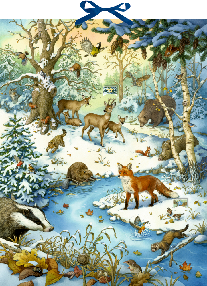 Die Tiere im Winterwald und ihr geheimes Leben, Zettel-Adventskalender