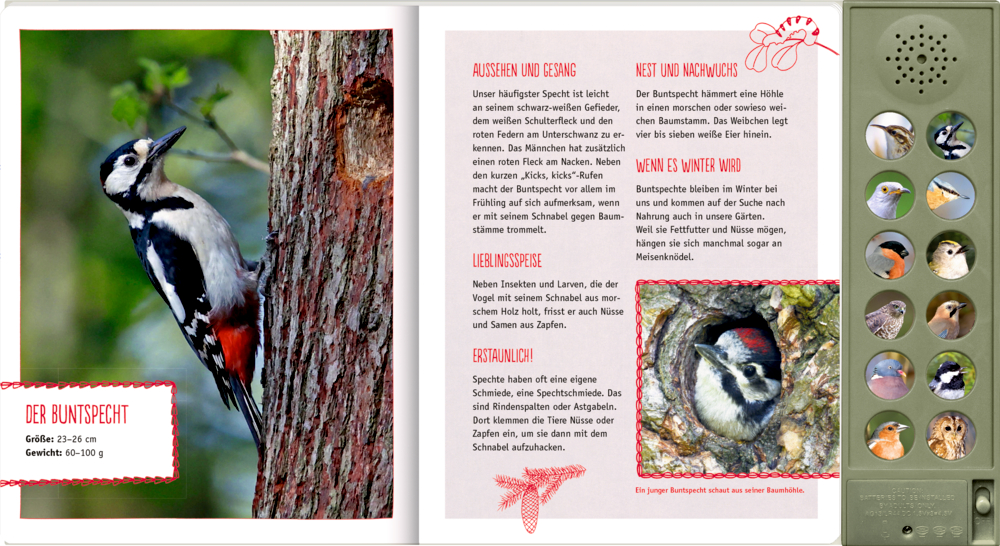 Vögel in unseren Wäldern - Nature Zoom (Soundbuch)
