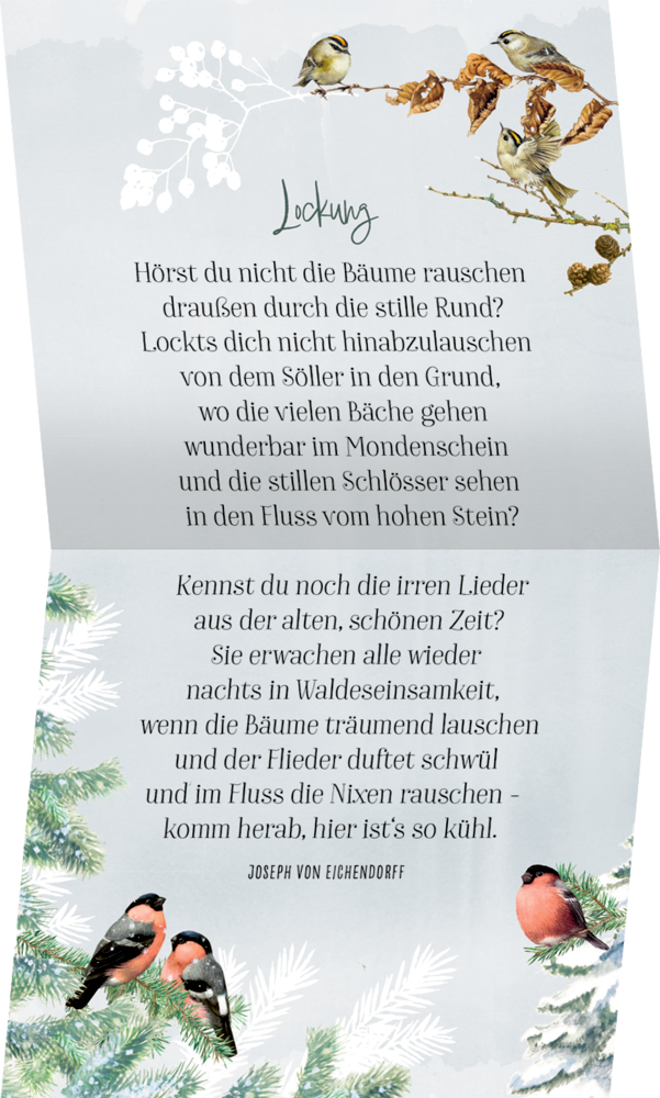 Zauberhafte Weihnachtszeit, Coffee-Table-Adventskalender (Bastin)