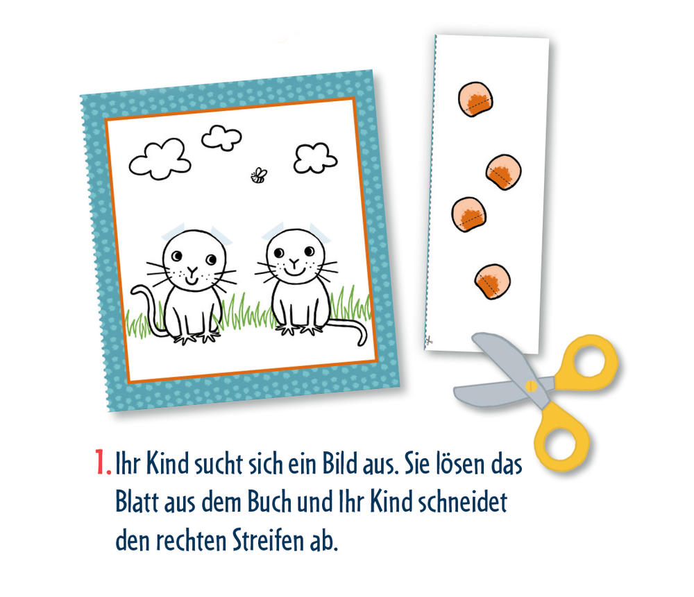 Mein erstes Pop-up-Bastelbuch: Blumenwiese (Mini-Künstler)