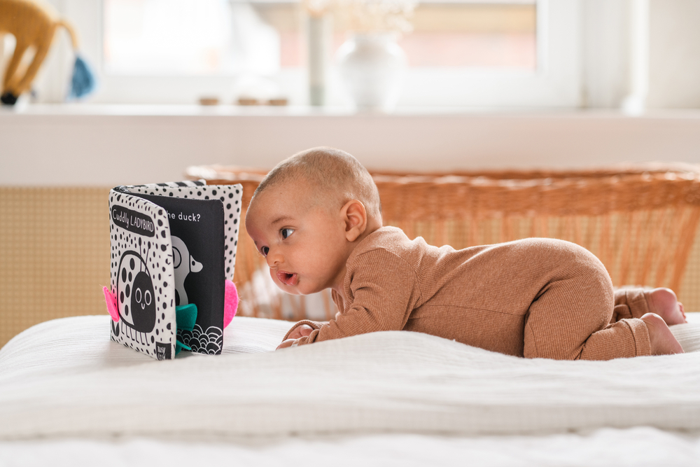 Babys kuschelweiches Kontrastbuch "Kuckuck kleiner Käfer!" (Stoffbuch)