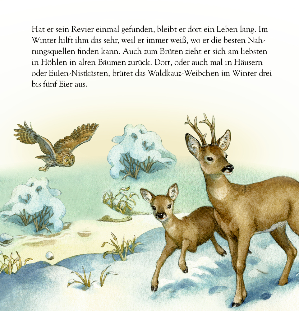 Die Tiere im Winterwald und ihr geheimes Leben, Zettel-Adventskalender