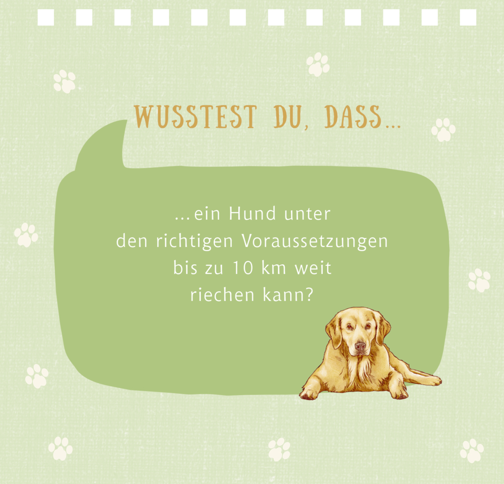 Kleines Spiralaufstellbuch: Tierisch beste Freunde (cats & dogs)