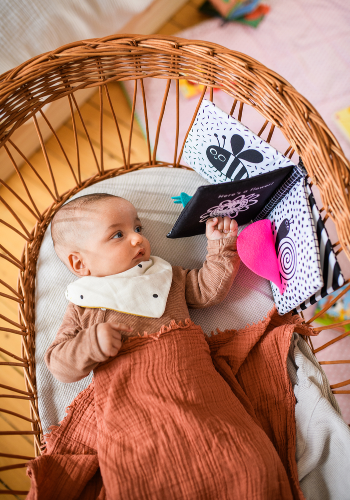 Babys kuschelweiches Kontrastbuch "Kuckuck kleiner Käfer!" (Stoffbuch)