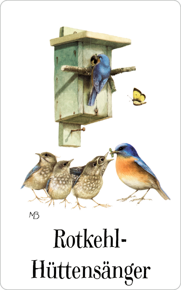 Schachtelspiel: Zauberhaftes Vogel-Memo - M. Bastin