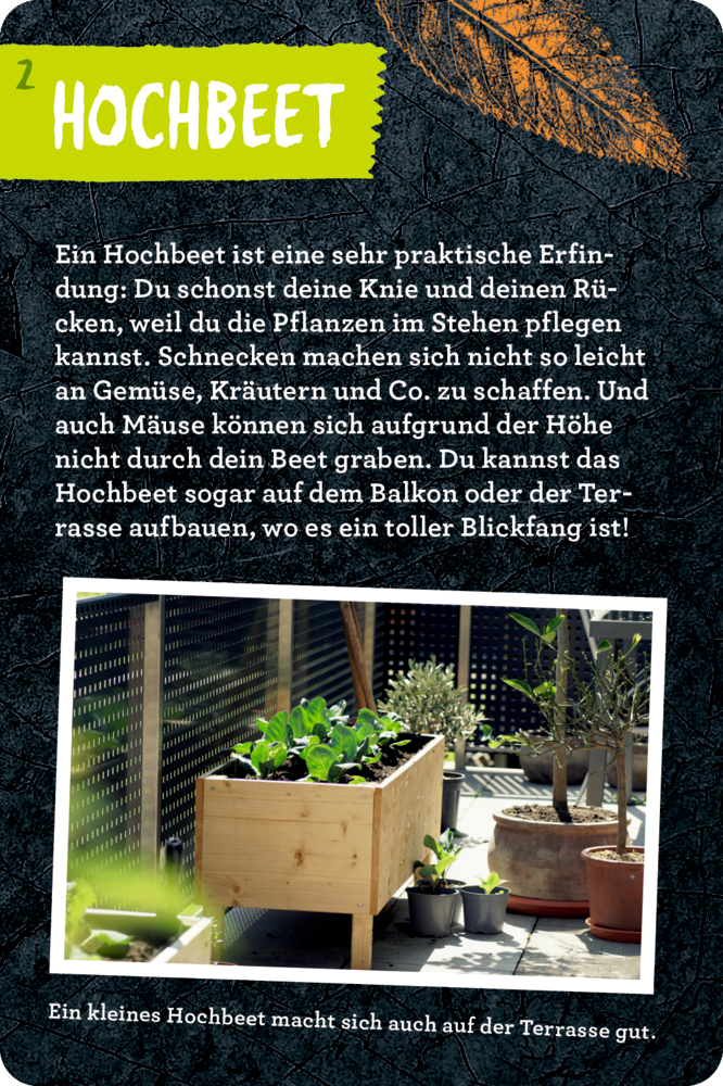 50 Garten-Projekte - Nature Zoom (Blechdose)