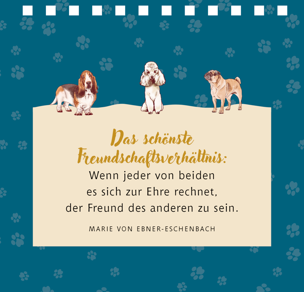 Kleines Spiralaufstellbuch: Tierisch beste Freunde (cats & dogs)