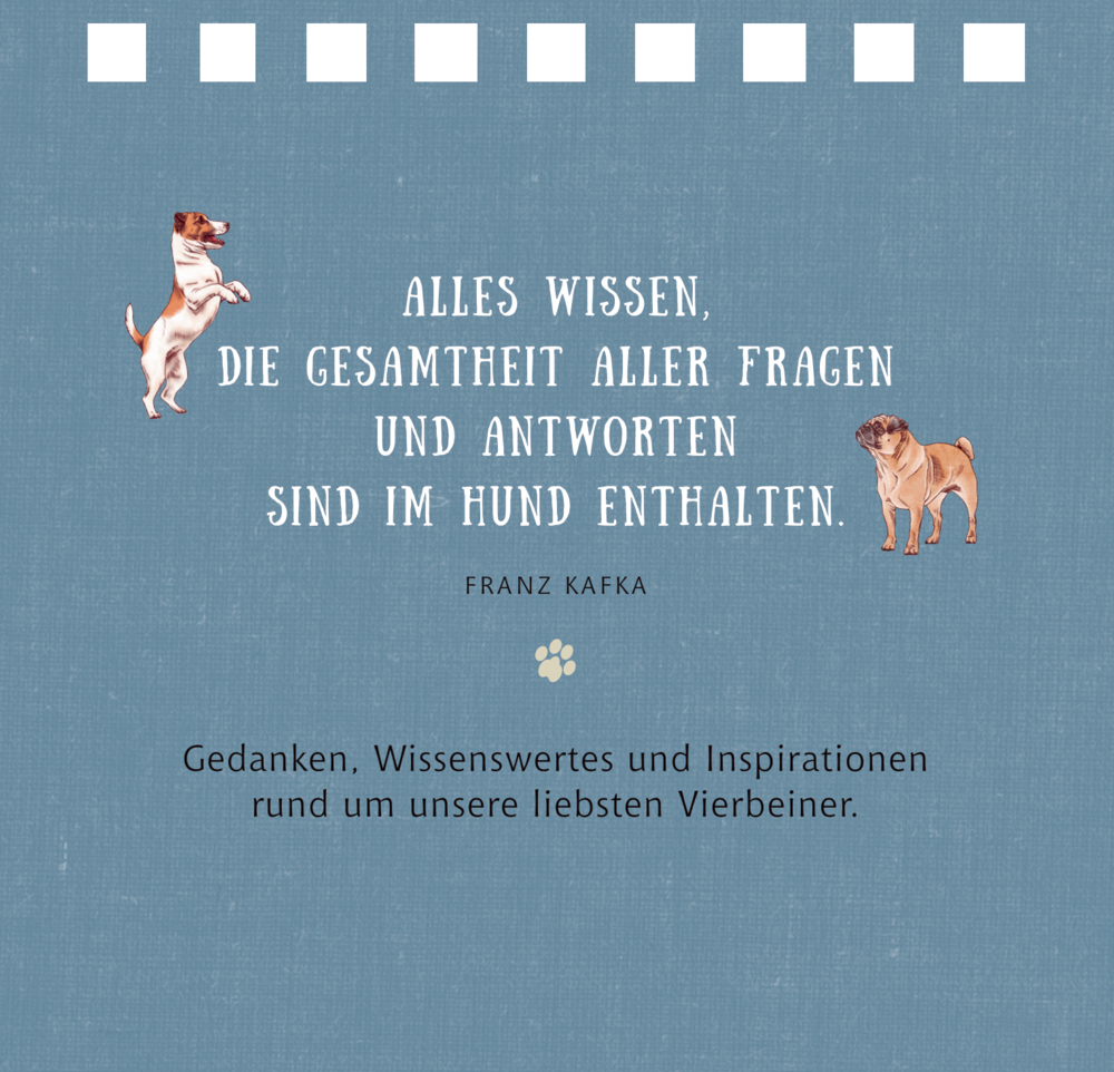 Kleines Spiralaufstellbuch: Tierisch beste Freunde (cats & dogs)