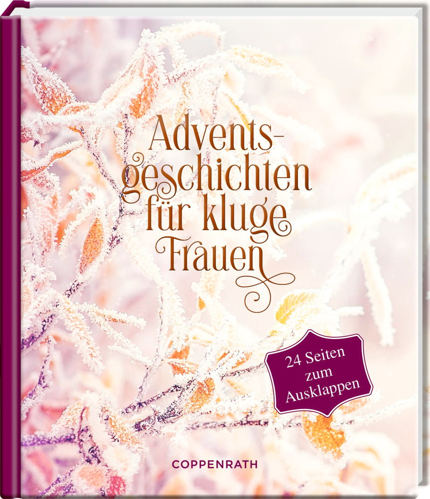 Adventskalenderbuch: Adventsgeschichten für kluge Frauen