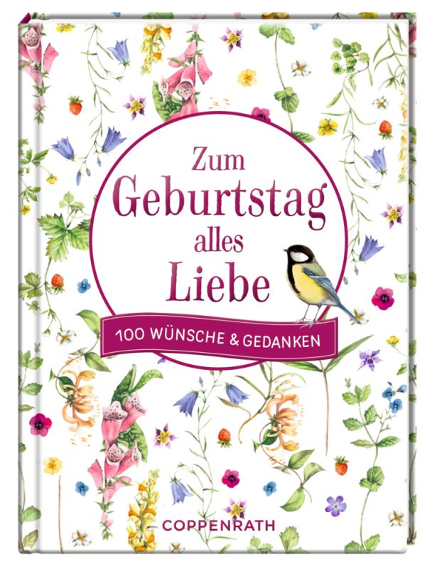 100 Wünsche & Gedanken Zum Geburtstag alles Liebe (Bastin)